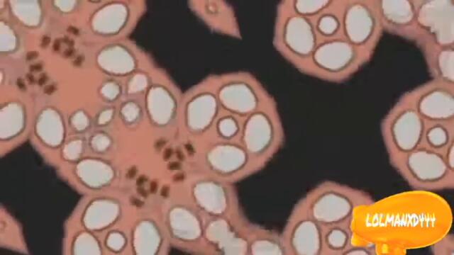 I THINK THATS ENOUGH