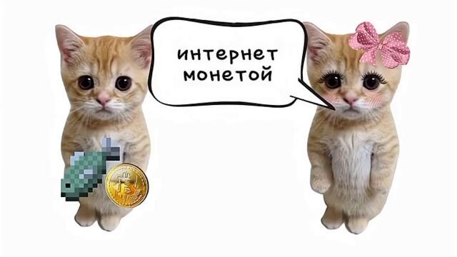 Котенцата обясниха за криптовалутите 😻