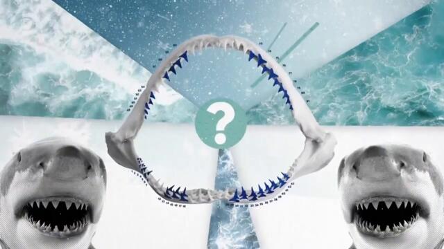 Discovery reklám, ajánló   2022 12 30