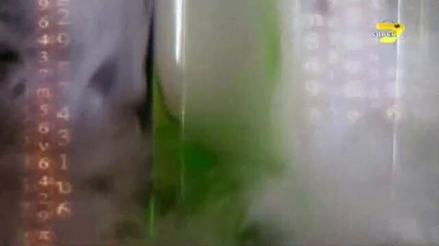 Щура наука Сезон 1 Епизод 20 Бг Аудио