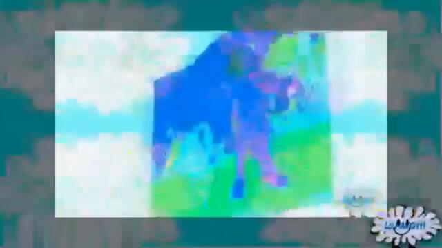 SNULLY MEETS PAHTRICKY STARTING