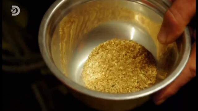 DISCOVERY CEE - 12-08-2022 - Continuity (fragment)