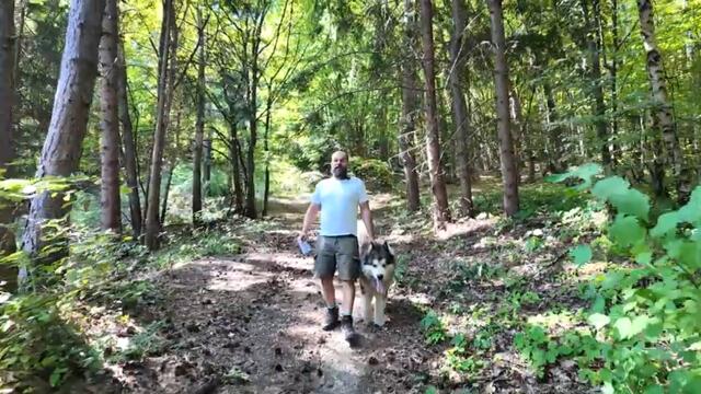 Тръмп заяви, че Украйна трябва да отстъпи Донбас – 17.08.2025