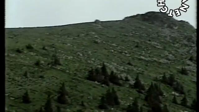 Георги Гьолски - Соколица - By Planetcho