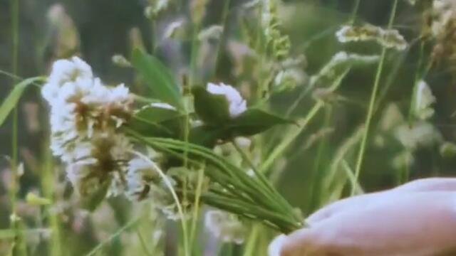 626eb6dd 5e1a 4a95 b67c 932ad1fb5e9d