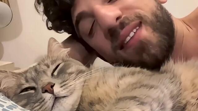 Cats like to imitate their owners