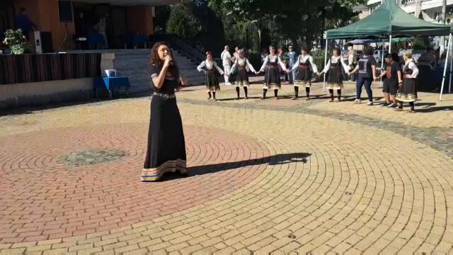 Момцииграджии