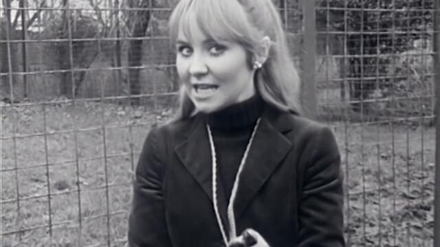 Lulu (1968) - I’m A Tiger