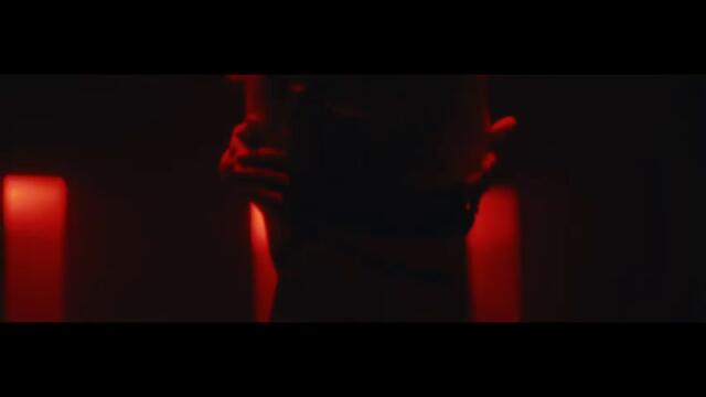 Dragan Sarić  - Tudja žena (OFFICIAL VIDEO)