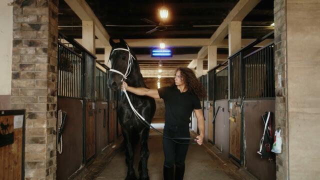 Benjamin Klicic - Boli glava moja mala (Official Music Video)