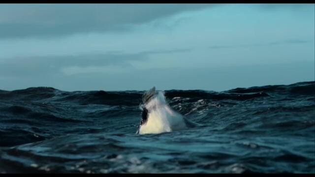 snapsave-app_2217693812026196_hd