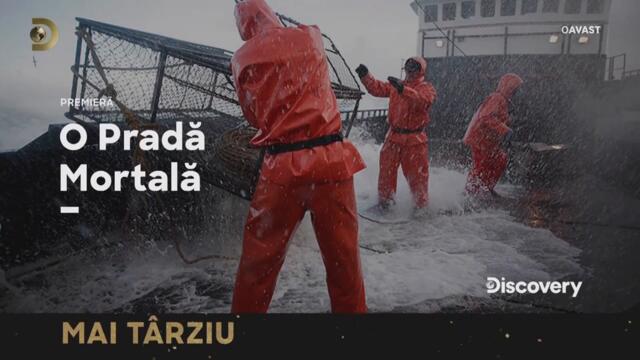 Discovery Romania - 40th anniversary idents and graphics (2025)