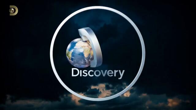 Discovery Channel Bulgaria HD - 40 years of Discovery (05.05.2025) @TheIDChannel2.0