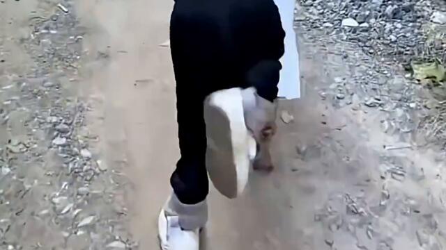 “Funny Pets 2025 🤣🐾 ｜  Craziest Moments Caught on Camera!”😁❤️#Shorts #funny #funnya