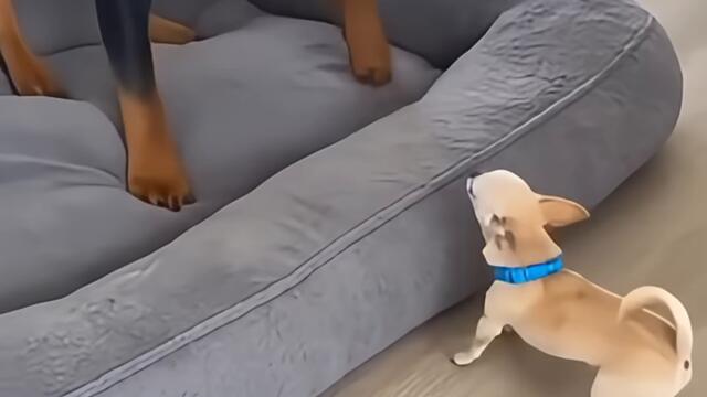 Я тихо бе дребен.....