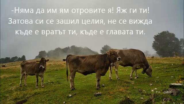 Герой си,Гетьо