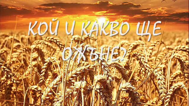 Има ли жетварки в Симеоново