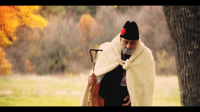 PETYA NIKLENOVA _ ЗВЪНЪТ НА БУДНИТЕ (Official 4k Video) 2025