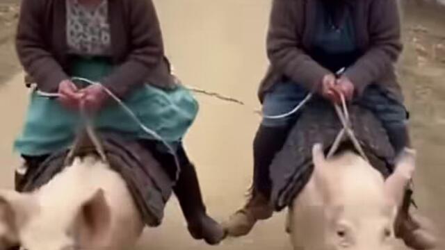 Кой ще спечели.....