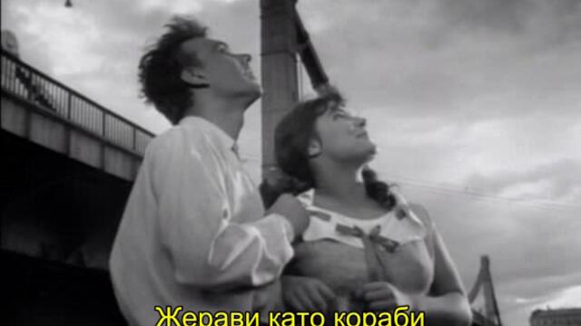 Летят жерави (Летят журавли 1957) 1/2