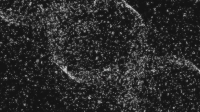 Железният Алхимик: Братство (2009) Fullmetal Alchemist: Brotherhood BG E08 HD