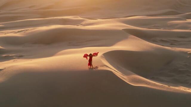 Sting - Desert Rose (Remix)