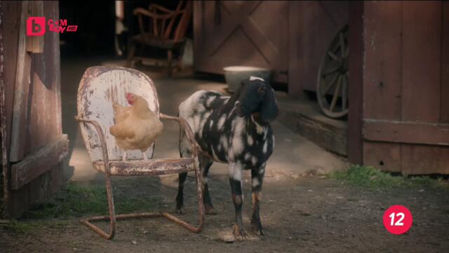 Пълна бъркотия сезон 1 епизод 2 Българско аудио