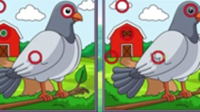 Spot differences bird adventure Games - Play Now on Y8.com[via torchbrowser.com]