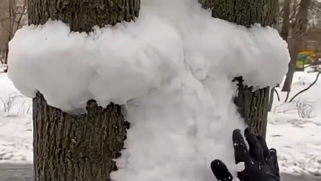 Parc iepure Iarna Relaxare animal