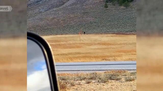 Семейство Озбърн иска да повярва - Отмъщението на прилепа (Част 2) (БГ Аудио)