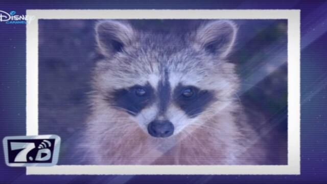 Тафи - Луна на енот (БГ Аудио)