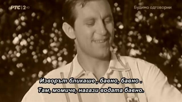 Predrag Živković Tozovac ~ IZVOR VODA IZVIRALA • bg sub