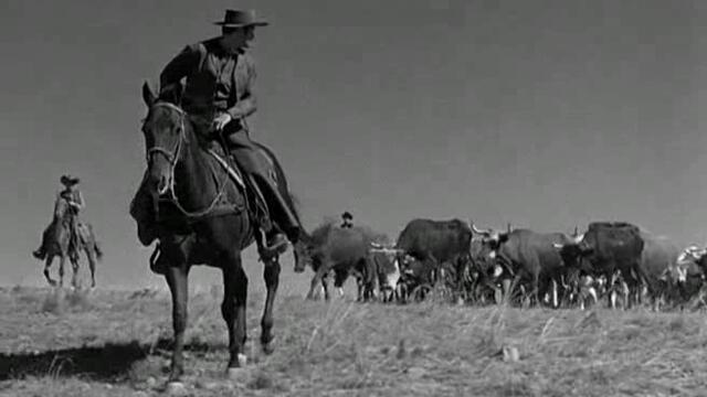 Сурова кожа (Rawhide) S02 E08