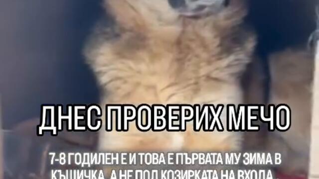 Мечо има нова къщурка
