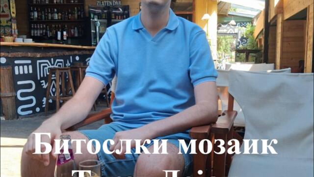 Битолски мозаик - (2026)