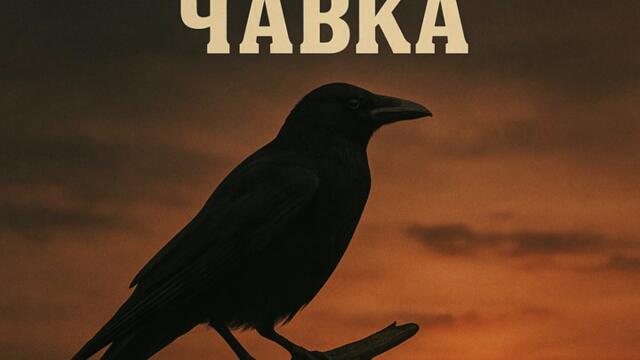 Видов една чавка - (2025)