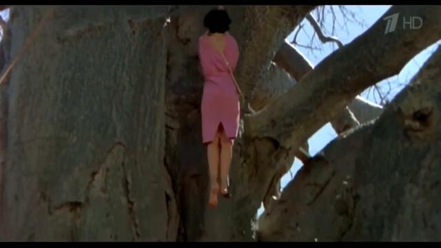 Боговете сигурно са полудели 2 (1989) BGau(2)