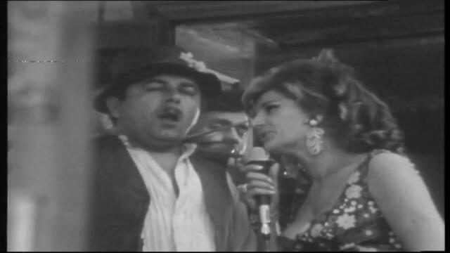 Silvana Armenulic - Ja nemam prava nikoga da volim